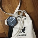 [EXO] 나 콘섵 때 들고<b>다닐</b> 가방 결정좀