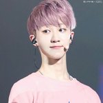 [세븐틴] 명호가 진짜