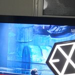 [EXO] 에리디봉고장남ㅋㅋㅋㅋㅋ