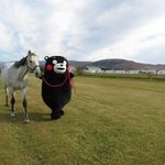 옷좀 살껀데 도와줄사람ㅠㅠㅠ