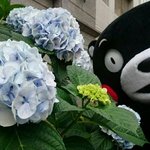 <b>봄옷</b>에 떡코도 있지??