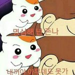 [세븐틴] 이짤보니까