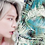 [BAP] 아 힘찬이<b>코에</b>베임;