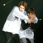 [EXO] <b>아기공룡</b>을 납치하려는 병아리