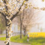 [방탄소년단] 와 나 타팬인데