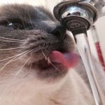 사랑둥아 보고<b>시포</b>ㅎㅎ