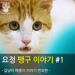 [메룽이<b>집사</b>] 길냥이 메룽이 이야기 번외편 <요정 팽구 이야기>...
