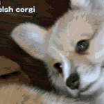 [유머판] <b>MT</b> 마지막 날 아침