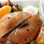 [회사도시락] 애사심 마구 생기는 정성의 도시락(스압)