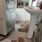 (사진 有)<b>난장판</b> 만든 집주인!!!!!!!