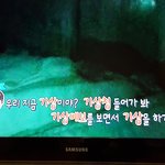 [세븐틴] 아 자존심 <b>상해</b>