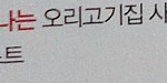 [방탄소년단] 양을 넘가한 <b>오리</b>
