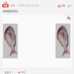 헐나 <b>베</b><b>플</b>됨ㅋㅋㅋㅋㅋㅋ