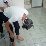 [정확함] 남고ㄹㅇ