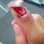 [댓글부탁해] 나 귀짤러인데  사진이걸로바꿀께