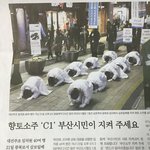 위기의 시원소주 삼보일배