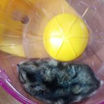 [댓글부탁해] <b>동묘</b> 구제시장 어때??????