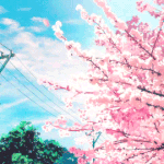 [동성] (동성)철부지 is back