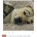 [댓글부탁해] 가방 사고싶다 인스타 <b>도배</b>했는데
