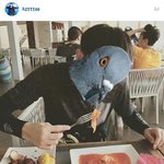 [EXO] (얼굴가림) 핵둥? 탈기 인별