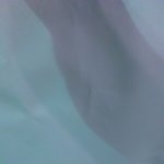 [방탄소년단] 이삐들 <b>포스터</b> 원래커?