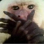 [조언부탁] 제발들어와주세요[깊은빡침]