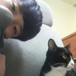 [드루와] 길고양이 집에서 키우기로 함