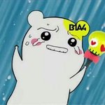 [<b>B1A4</b>] 진짜 지뇽이 염색한게 사실이라면