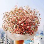 ++++추가!)다이어트 후기?