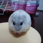 [댓글부탁해] 페북 쿠션 광고하는 애들 공통점