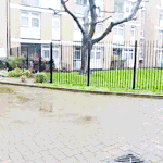 [EXO] 비둘기가 왜 나쁜새가 아니야