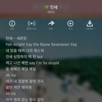 [세븐틴] 만세듣다가