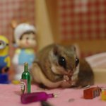 [교감] 꽐<b>라가</b>된 하늘다람쥐, 두루와 뭉실이의 한상 떡벌어지는 술상~...