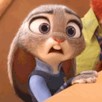 [EXO] 주톹피아 ㄹㅇ재밌