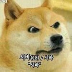 [세븐틴] 아ㅅㅂ얘들아좀...