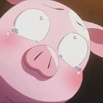 장급식 쓰는사람?????