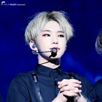 [세븐틴] 내가 <b>똥</b><b>손</b>이라서 그런가