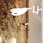 [드루와] 추추가)추가)인증)미국 시골 살았는데 오해 풀어줄겡들어와