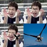 [세븐틴] 오늘 슈키라 이석민 갈매기<b>소환</b> 조카많이함
