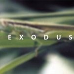 [EXO] 진짜정형1돈광1희님