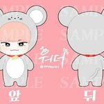 [세븐틴] ㅅㄷ 인형좀골라죠ㅠㅠㅠㅠ