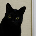 [인피니트] <b>기차</b>야고마워