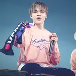 [세븐틴] 입덕 멤버를 적어보자