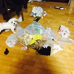 말티즈의 탈을 쓴 비글 똘이 2탄! 머리빨을 <b>중시</b>하는 견생5년차 !