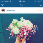 [EXO] <b>꽃사진</b> 출처