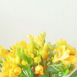 [방탄소년단] 일코 <b>배사</b>뿌림