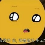[블락비] 벌<b>인형</b>가지기 프로젝트
