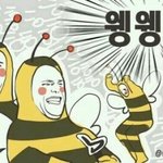 [블락비] 벌드라!!!!