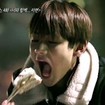 [방탄소년단] 시팔..꽃ㅂㄹ보면서 존나울컥함