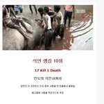 [유머판] 살인을 많이한 동물 <b>랭킹</b> 10